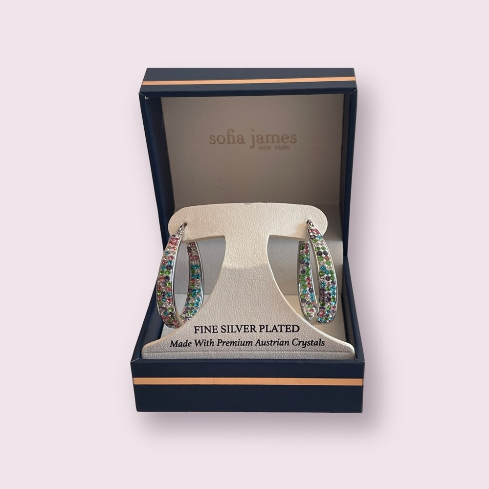 Rainbow Silver Plated Hoop Earrings